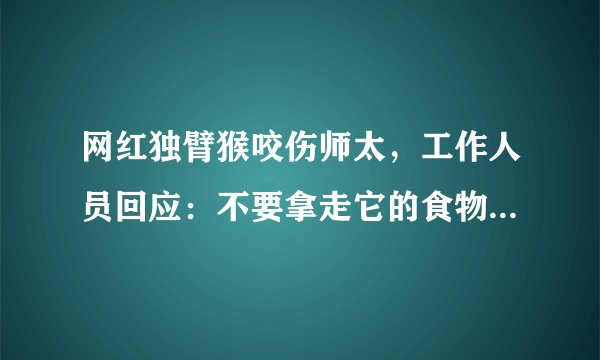 网红独臂猴咬伤师太，工作人员回应：不要拿走它的食物！猴子也会护食吗？