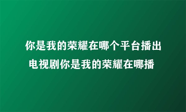 你是我的荣耀在哪个平台播出 电视剧你是我的荣耀在哪播