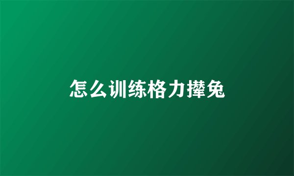 怎么训练格力撵兔
