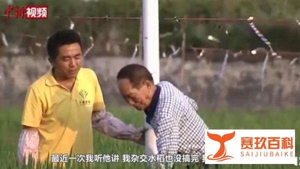 袁隆平临终前才讲退休 这是咋情况？