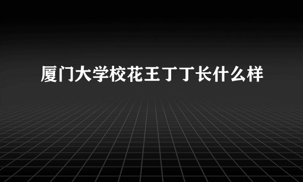 厦门大学校花王丁丁长什么样