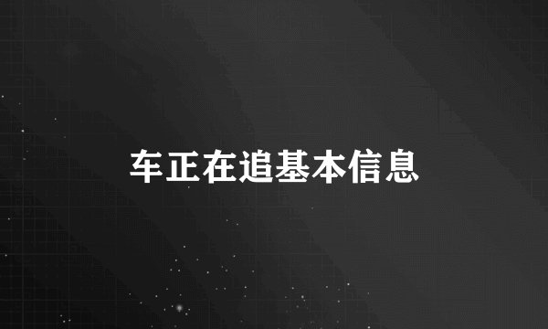 车正在追基本信息