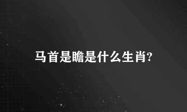 马首是瞻是什么生肖?