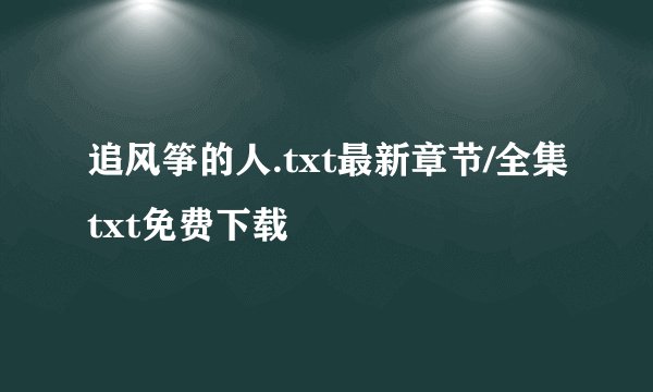 追风筝的人.txt最新章节/全集txt免费下载