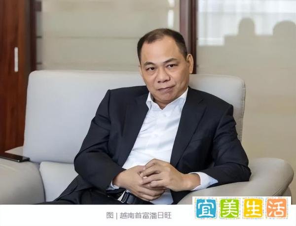 华尔街血洗越南首富？越南马斯克，变成越南许家印