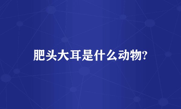 肥头大耳是什么动物?
