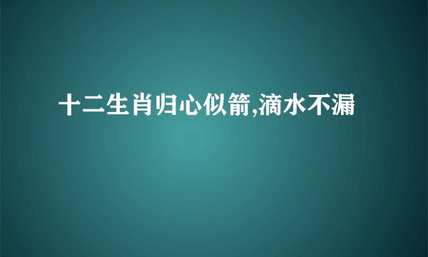 十二生肖归心似箭,滴水不漏