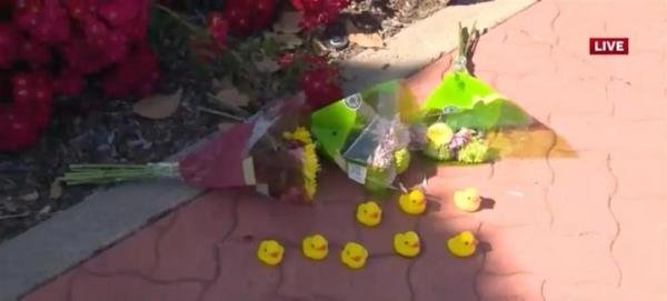 美国加州男子下车帮鸭子过马路，被汽车撞飞身亡，肇事者尚未成年