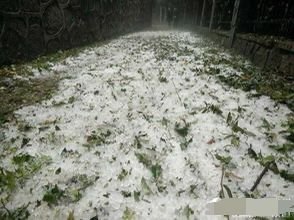 贵州5月已连续13天下冰雹，这种极端的天气在贵州很常见吗？