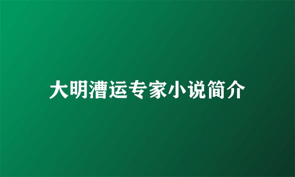 大明漕运专家小说简介