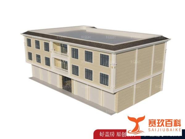 新农村住宅设计与施工