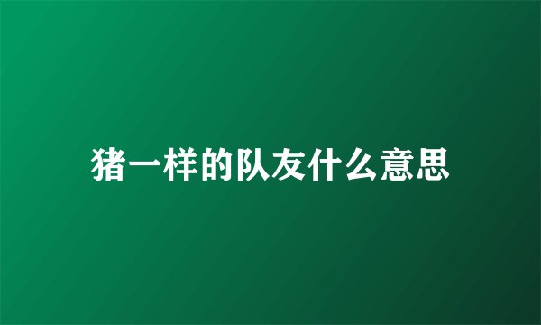 猪一样的队友什么意思