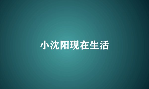 小沈阳现在生活