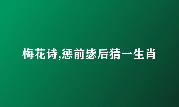 梅花诗,惩前毖后猜一生肖