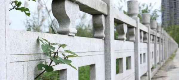 男人心里通常只住着一个女人？“一生一代一双人”，也是骗人的？