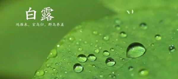 2020年二十四节气时间表（立秋-霜降）