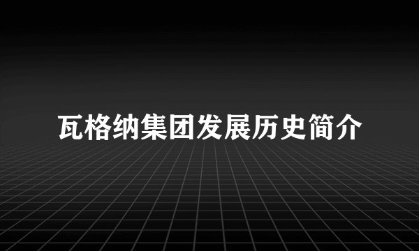 瓦格纳集团发展历史简介