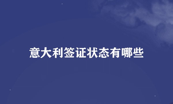 意大利签证状态有哪些