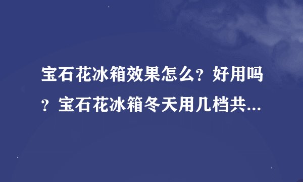 宝石花冰箱效果怎么？好用吗？宝石花冰箱冬天用几档共7档？需要关注哪些点