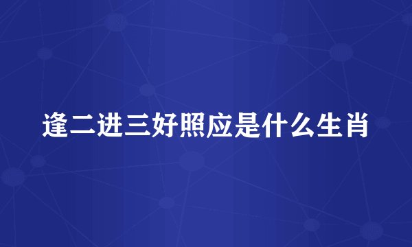 逢二进三好照应是什么生肖