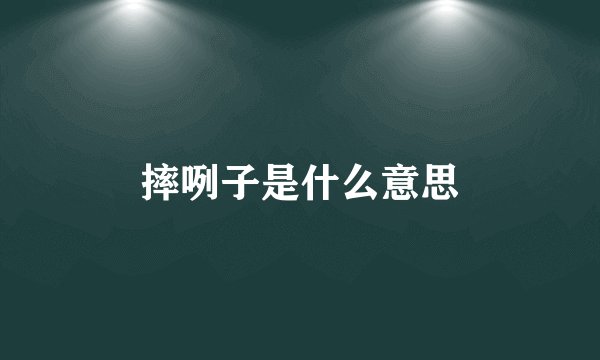 摔咧子是什么意思