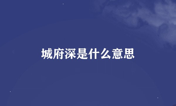 城府深是什么意思