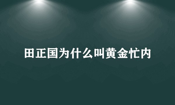 田正国为什么叫黄金忙内