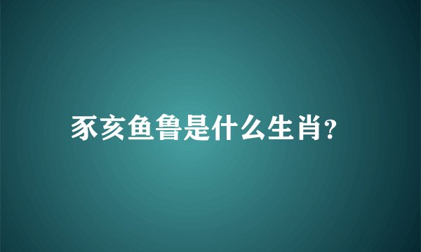 豕亥鱼鲁是什么生肖？