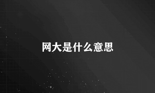 网大是什么意思