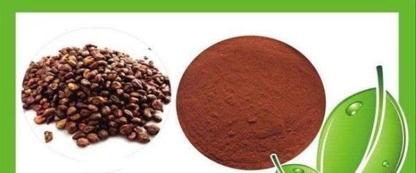 葡萄籽提取物 Grape Seed Extract