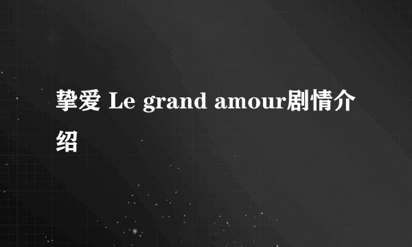 挚爱 Le grand amour剧情介绍