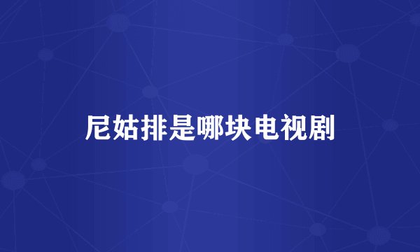 尼姑排是哪块电视剧