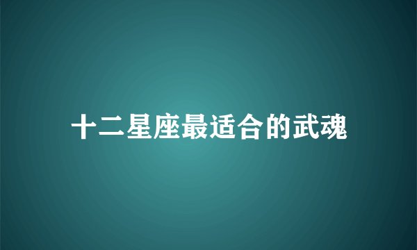 十二星座最适合的武魂