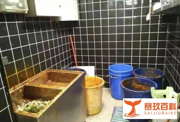 杜海涛吴昕合肥火锅店被责令停业,网友:苍蝇飞舞,泔水聚集地