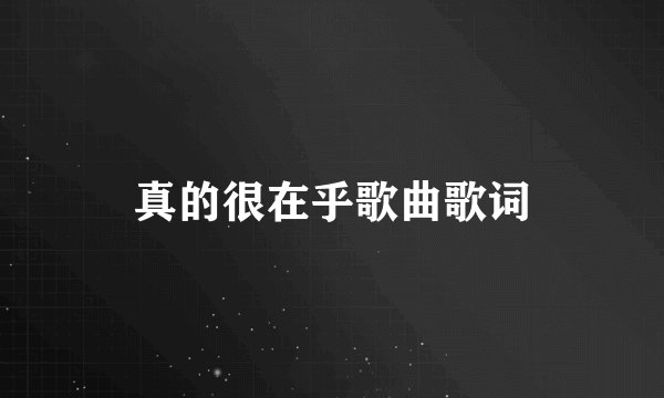 真的很在乎歌曲歌词