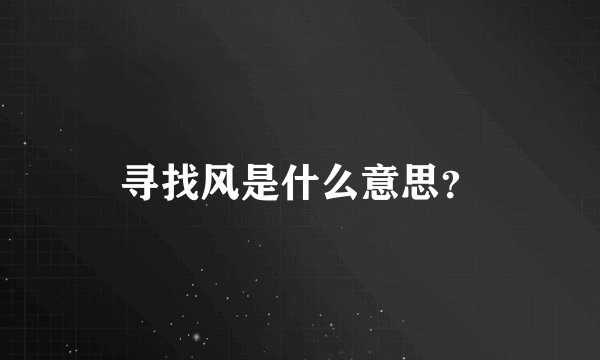 寻找风是什么意思？