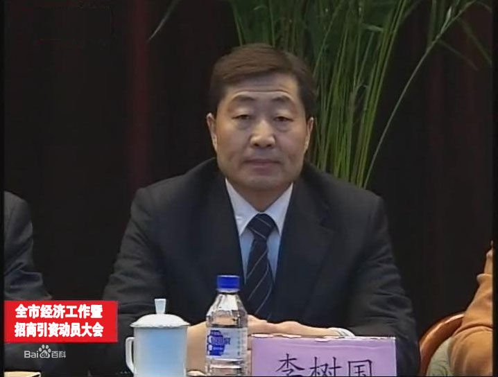 李树国的人生履历