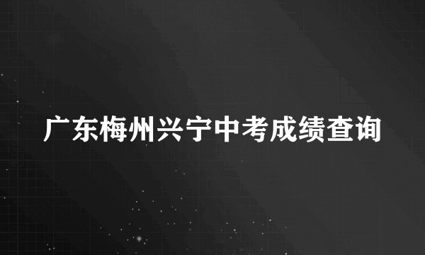 广东梅州兴宁中考成绩查询