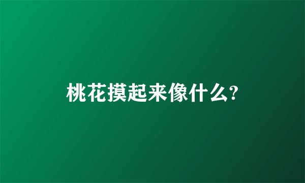 桃花摸起来像什么?
