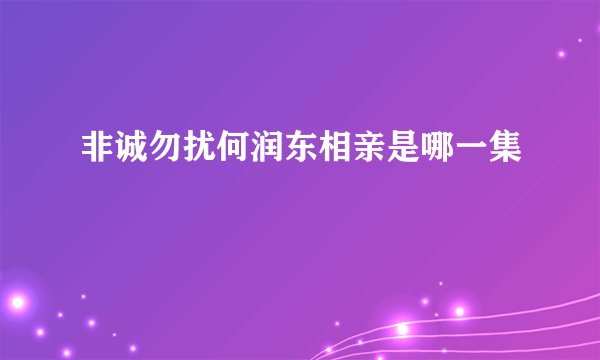 非诚勿扰何润东相亲是哪一集