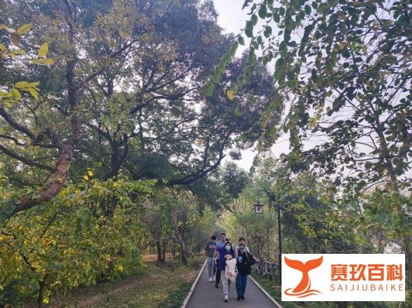 武汉艺术生文化课要求是什么该如何应对