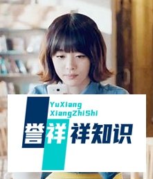如何准确检测手机实时流量使用状况