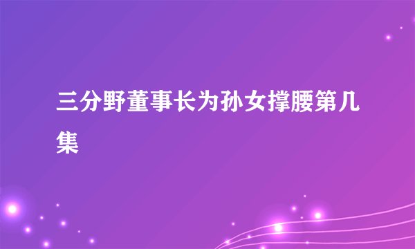 三分野董事长为孙女撑腰第几集
