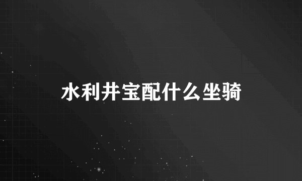 水利井宝配什么坐骑
