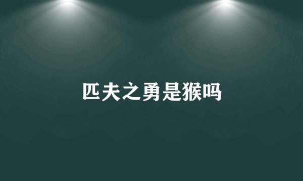 匹夫之勇是猴吗