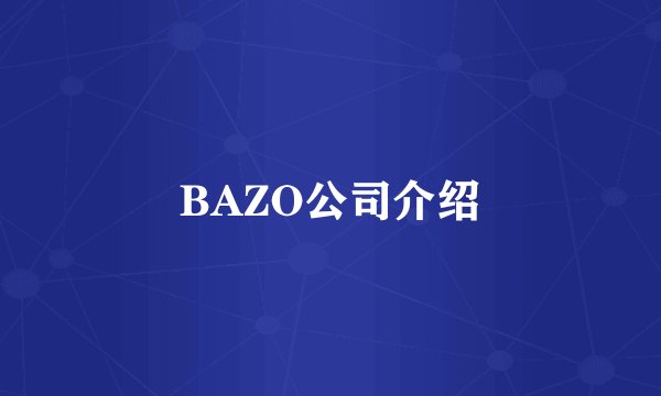 BAZO公司介绍