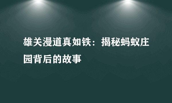 雄关漫道真如铁:揭秘蚂蚁庄园背后的故事
