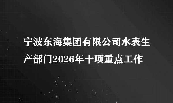 宁波东海集团有限公司水表生产部门2026年十项重点工作