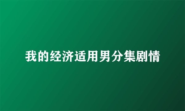 我的经济适用男分集剧情