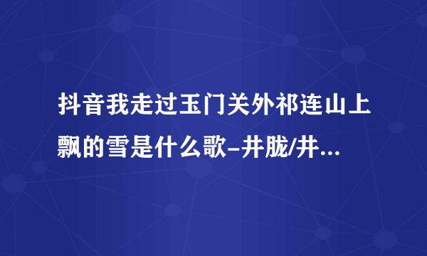 抖音我走过玉门关外祁连山上飘的雪是什么歌-井胧/井迪儿-骁歌曲完整版歌词